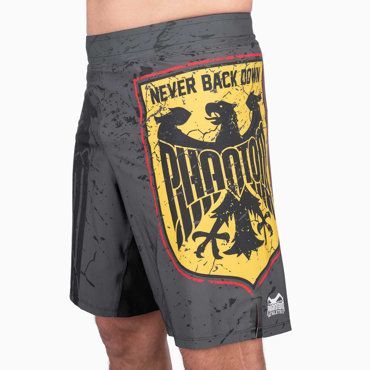 Die Phantom FLEX Fightshorts zählen zu den besten Fightshorts am Markt. Ultraleicht, mega flexibel und reißfest. Reduziert auf ein absolutes Minimum bietet sie dir maximale Performance in deinem Kampfsport. Egal ob BJJ, MMA, Muay Thai oder Kickboxen. Die FLEX Shorts von Phantom Athletics holen das beste aus dir raus. Hier in der limitierten Germany Edition.