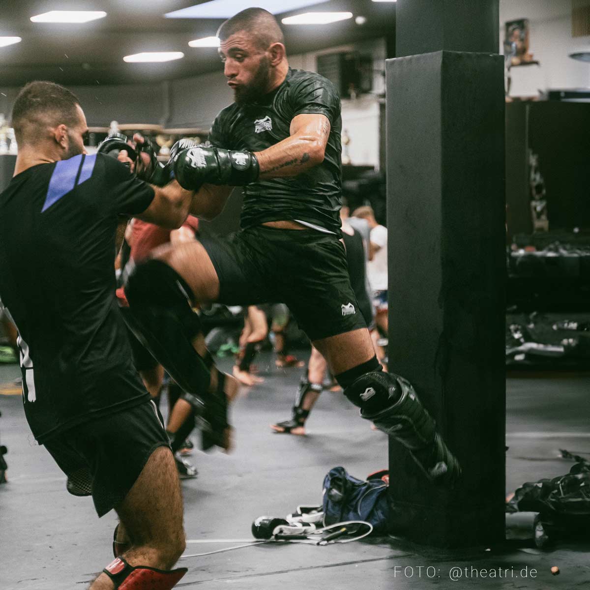 MMA Sparring Handschuhe Camo Tiger